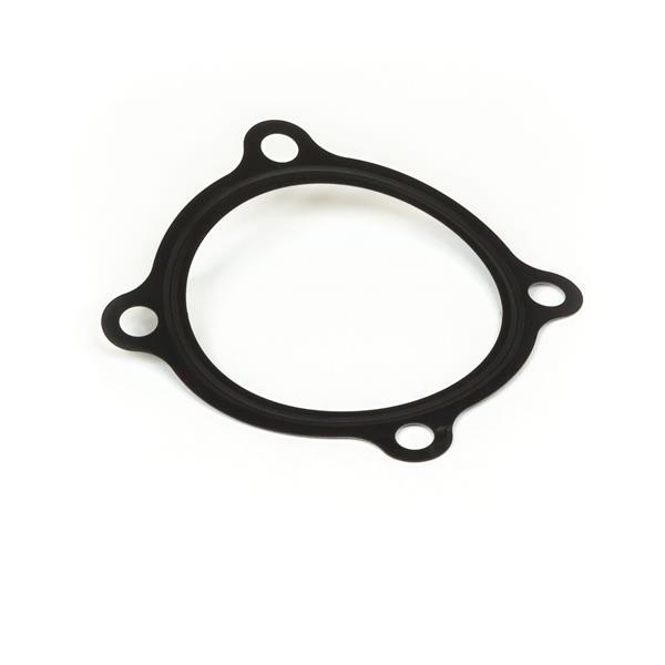 Прокладка / GASKET - IND MANIFOLD АРТ: T411920