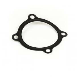 Прокладка / GASKET - IND MANIFOLD АРТ: T411920